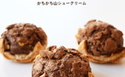 カチカチ山シュークリームの写真