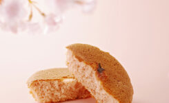 マドレーヌ桜の写真です