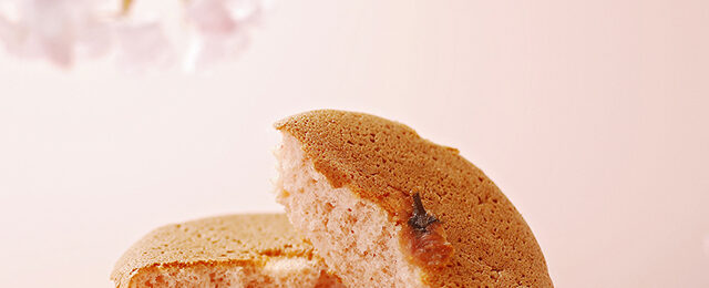 マドレーヌ桜の写真です